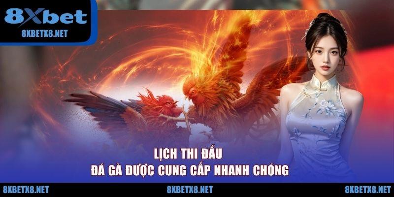 Lịch thi đấu đá gà được cung cấp nhanh chóng Lịch thi đấu đá gà được cung cấp nhanh chóng